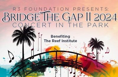 Bridge the Gap Flyer